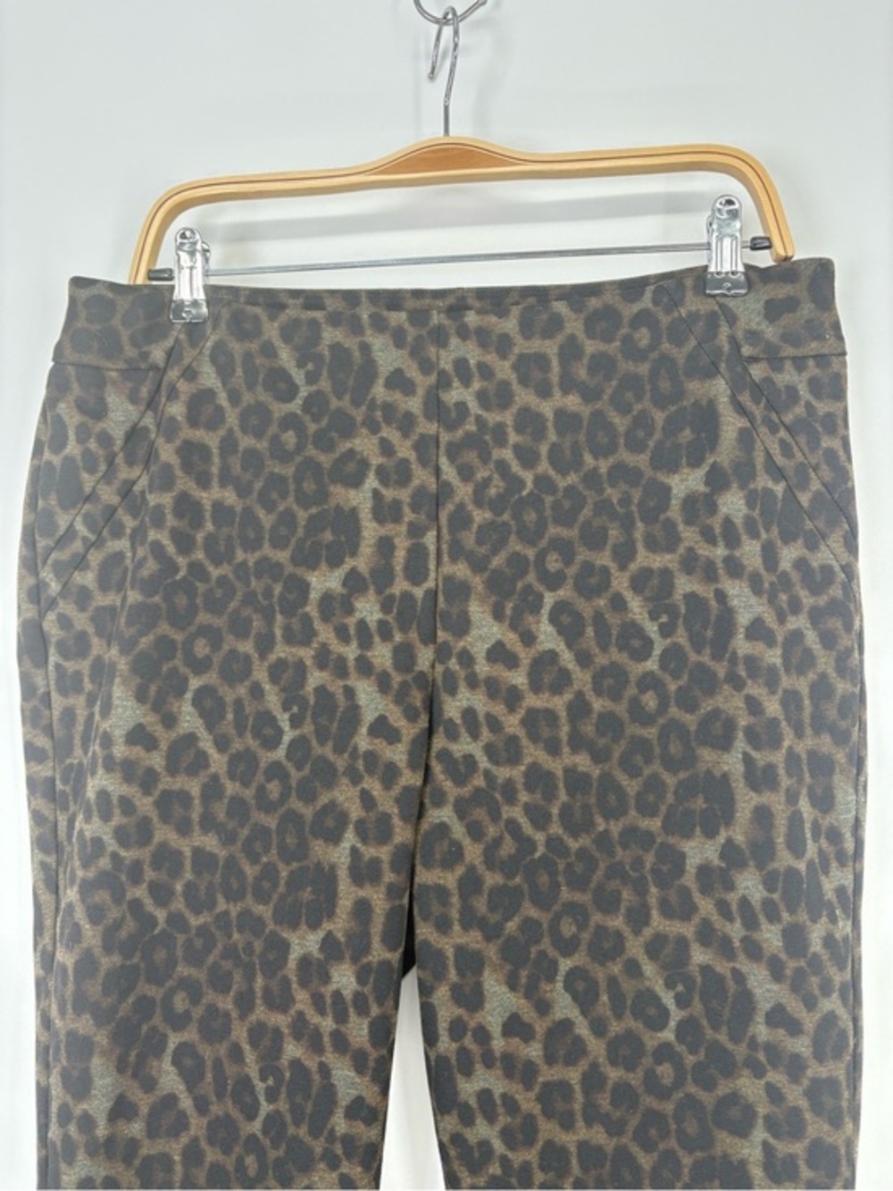Soft Surroundings Onca pointe Leopard-Print Pants ab panel